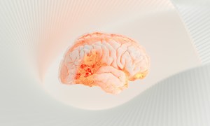 Serotonina jelitowa i mózgowa – dwa odrębne światy jednego mediatora