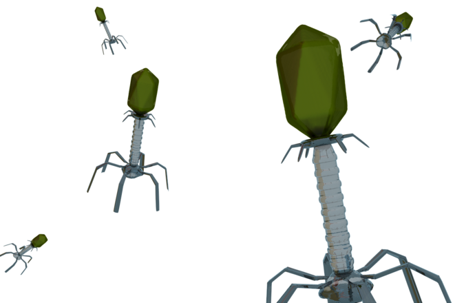 Bakteriofagi w walce z superbakteriami – nowa broń przeciw antybiotykooporności