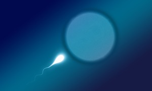 Metoda STAR daje szansę biologicznego ojcostwa mężczyznom z azoospermią