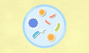 Prof. Paweł Łabaj: „W badaniach mikrobiomu czasami marketing rozmija się z nauką”