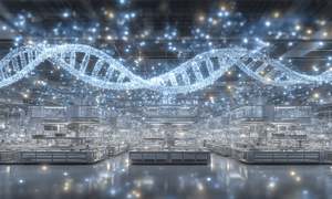 Mapowanie struktur G-quadrupleksowych w ludzkim genomie z wykorzystaniem sztucznej intelige