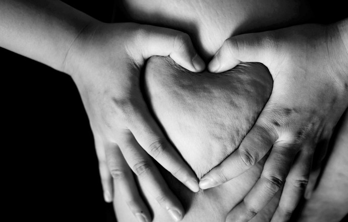 Tkanka tłuszczowa jako źródło funkcjonalnych organoidów in vitro