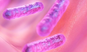 „Prezent” od bakterii jelitowych szansą w leczeniu chorób płuc