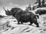 Paleogenomika nosorożca włochatego – kompletna sekwencja DNA z nietypowego źródła