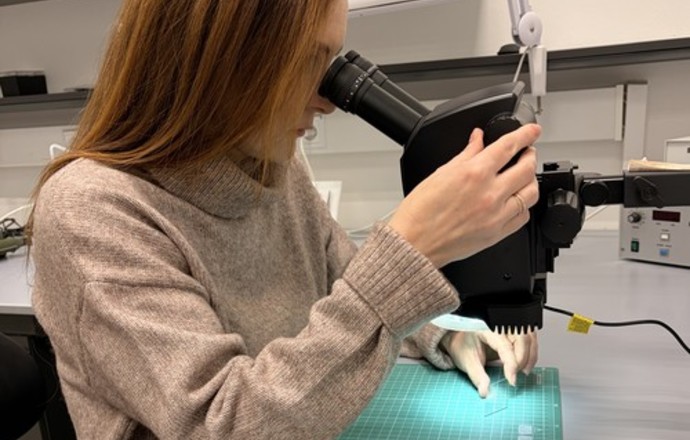 Od biobójczych powłok po leki – nanokompozytowe żądło na drobnoustroje