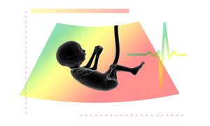 Tam, gdzie zaczyna się ciąża – do czego służy nowy model implantacji?