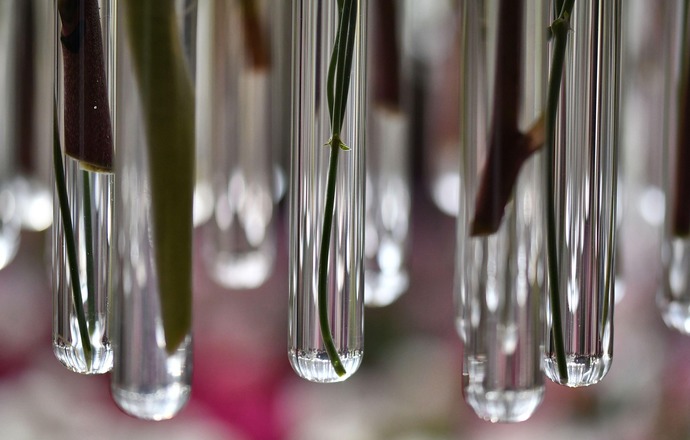 Historyczne płyny konserwujące a współczesne techniki spektroskopowe