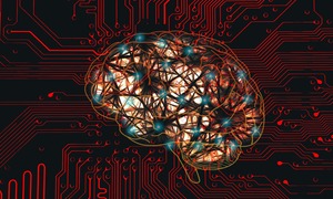 Stabilność systemu mózg-komputer w środowisku kosmicznym