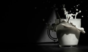 Rekombinowana β-laktoglobulina w napoju mlecznym – zakres zastosowań i ramy bezpieczeństwa 