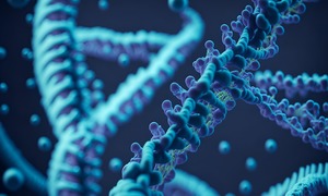 Naukowcy z ICHB PAN opublikowali nowe badania dotyczące mutacji w genach miRNA