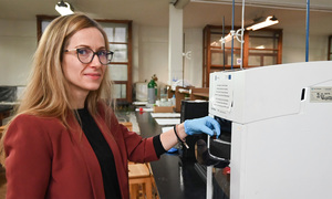 Kropki kwantowe i cisplatyna – nowy kierunek w celowanej terapii nowotworów