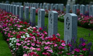 Reaktor zamiast płomienia – co dzieje się podczas kremacji wodnej?