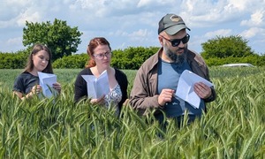 Naukowcy z Krakowa odkryli nowy środek przeciw chorobom grzybowym roślin