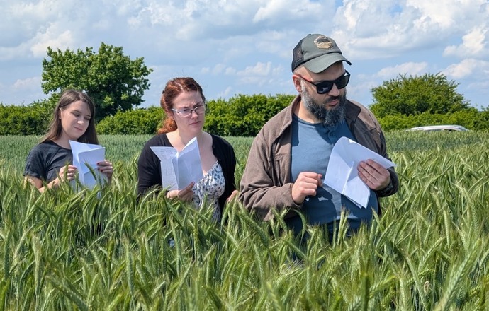 Naukowcy z Krakowa odkryli nowy środek przeciw chorobom grzybowym roślin