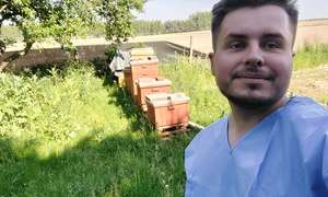 Biotechnologia w pszczelarskiej prewencji weterynaryjnej – skuteczne wdrożenie polskiego ro