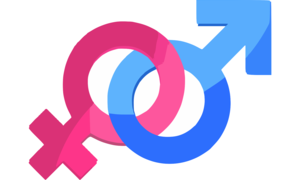 Dlaczego kobiety chorują na IBS dwa razy częściej niż mężczyźni? Jelita kobiet i mężczyzn t