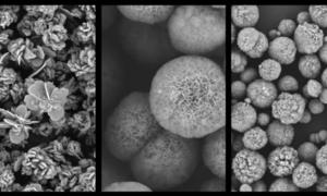 Polskie „nanokwiaty” pomogą w leczeniu groźnej choroby kości