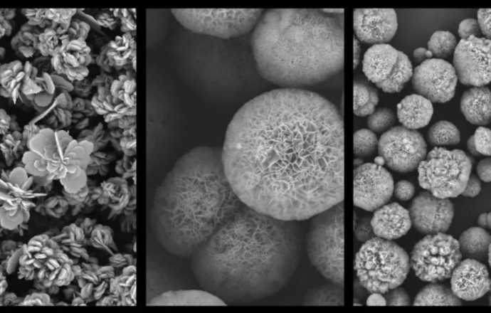 Polskie „nanokwiaty” pomogą w leczeniu groźnej choroby kości