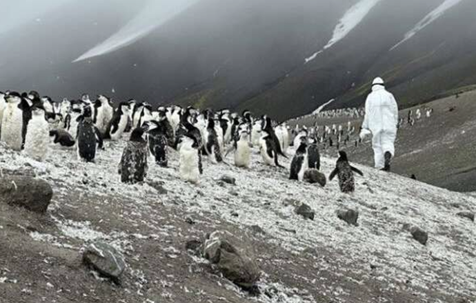 Od lodowej pustyni do diagnostyki molekularnej – jak podejście One Health zmienia walkę z w