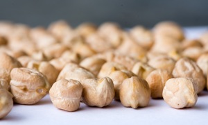 Biologiczne przygotowanie symulantu podłoża księżycowego do wzrostu roślin