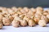 Biologiczne przygotowanie symulantu podłoża księżycowego do wzrostu roślin