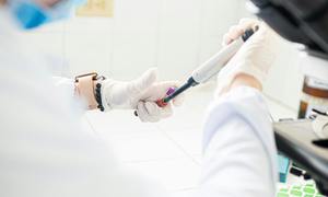 Polskie badaczki ostrzegają: „Antybiotykooporność narasta w tempie, które może wyprzedzić m