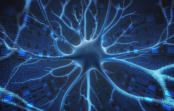 Mapa mózgu w nowej odsłonie – kolejne odkrycie ujawnia połączenia neuronów