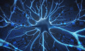 Mapa mózgu w nowej odsłonie – kolejne odkrycie ujawnia połączenia neuronów