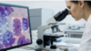 Sztuczna inteligencja w diagnostyce zakażeń pochwy – nowe perspektywy dla mikrobiologii kli