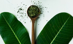 Dalekowschodnie surowce o działaniu seboregulującym i przeciwtrądzikowym