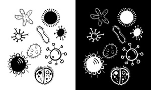 Jak mikrobiom reguluje odporność i wpływa na choroby zapalne?