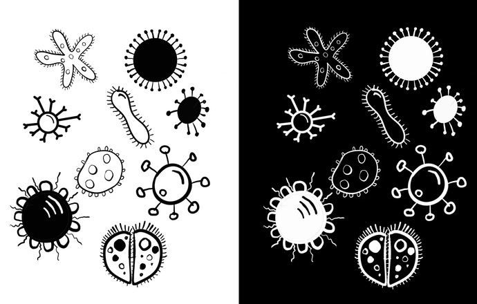 Jak mikrobiom reguluje odporność i wpływa na choroby zapalne?