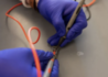 Biohybrydowy implant do produkcji leków wewnątrz organizmu