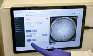 Organoidy i AI. Naukowcy z Wrocławia w poszukiwaniu nowych metod diagnostyki chorób wątroby