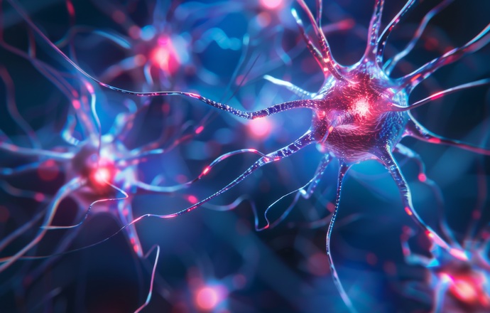 Karyoptoza – nowy mechanizm śmierci neuronów. Jakie może mieć znaczenie w chorobie Alzheime