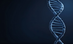 BioOpen Talk #24 – Największe sukcesy współczesnej inżynierii biologicznej I Dr Rafał Derla