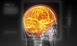 Rozkodowując mózg -naukowcy są zdeterminowani żeby zbadać najważniejszy ludzki narząd.