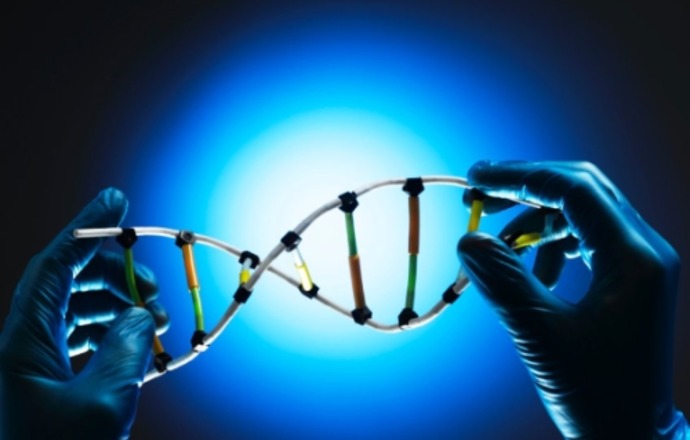 Ekspresja genów – część I. Rodzaje kwasów rybonukleinowych i kod genetyczny