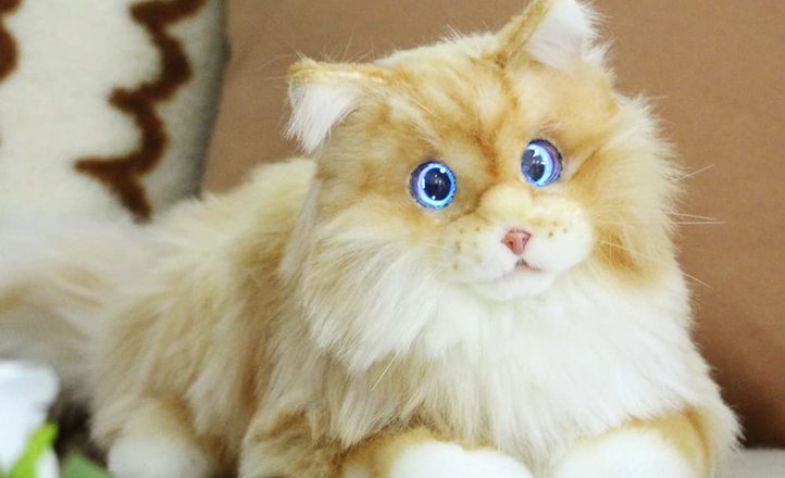 Inteligentne futro i sztuczne serce – o MetaCat i przyszłości biomimetycznych robotów terap