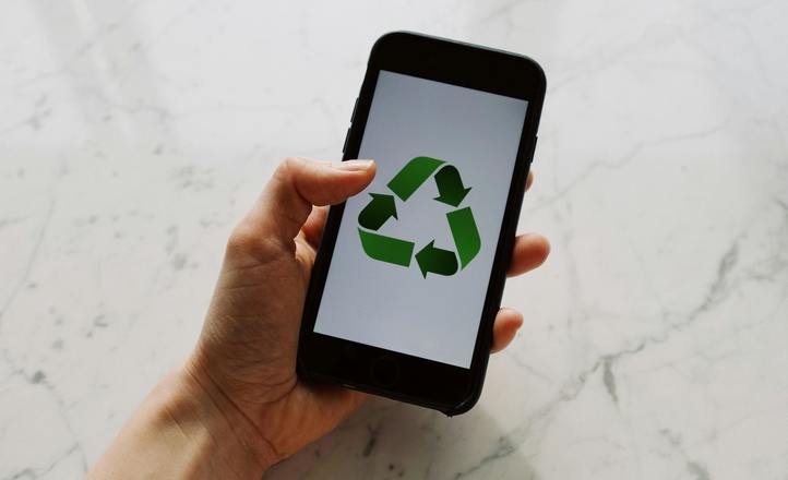 Polacy opracowali technologię rozkładającą tekstylia za pomocą grzybów