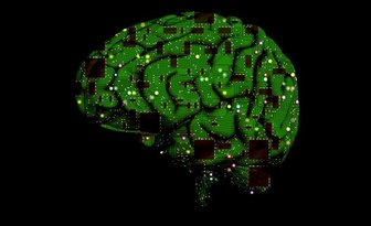 Fit bestbox thumb brain 1845944 1280