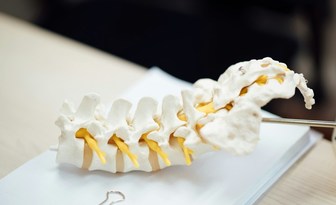 Od rusztowania do ruchu – jak druk 3D wspiera odbudowę rdzenia kręgowego?