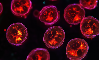 Fit bestbox thumb microscopic cell view  1 