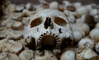Mikrobiom sprzed tysiąca lat. Co wnętrze człowieka z prekolumbijskiego Meksyku mówi o przes