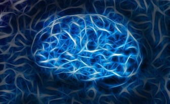 Fit bestbox thumb brain 7486701 1280