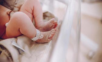 Sztuczna macica – życie dla skrajnych wcześniaków?