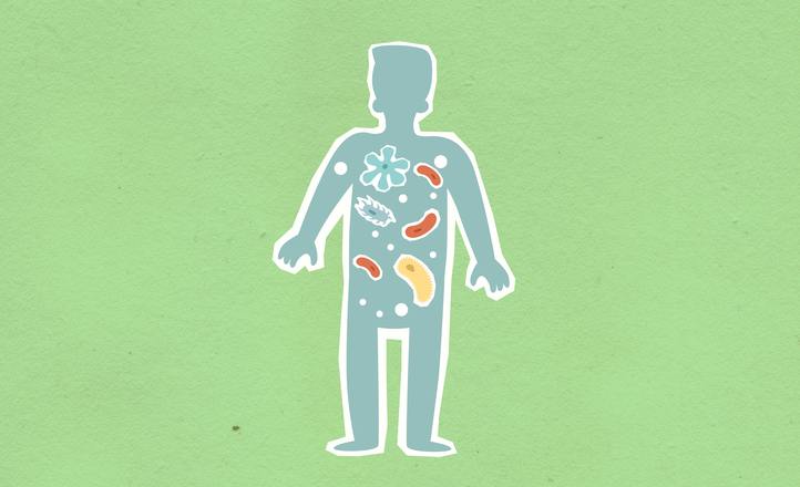 Od laboratoriów do biznesu – wyniki przełomowego projektu badawczego „Mapa Mikrobiomu Polsk