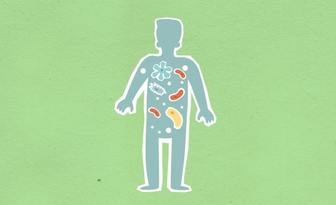 Od laboratoriów do biznesu – wyniki przełomowego projektu badawczego „Mapa Mikrobiomu Polsk