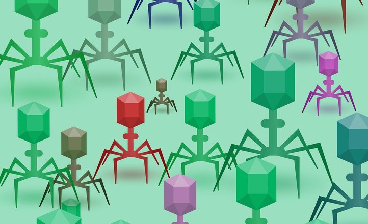 Bakteriofagi w walce z superbakteriami – nowa broń przeciw antybiotykooporności