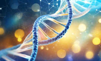 Mapowanie struktur G-quadrupleksowych w ludzkim genomie z wykorzystaniem sztucznej intelige